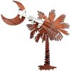 Buy Football Palmetto T-Shirts, Apparel, and Gifts